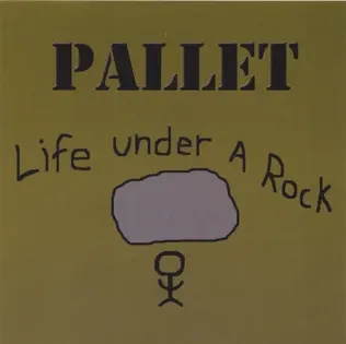 last ned album Pallet - Life Under A Rock