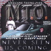 Never Seen Us Coming - MTO