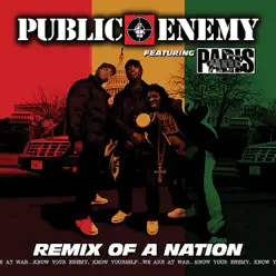 Remix of a Nation (feat. Paris) [Bonus Track Version] - Public Enemy