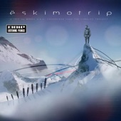Eskimo Trip 2010 (Zoohacker Remake) artwork