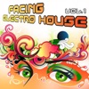 Facing Electro House, Vol. 1