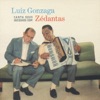 Luiz Gonzaga Canta Seus Sucessós Com Zé Dantas, 1996