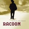 Before You Leave - Racoon