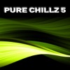Pure Chillz 5, 2010