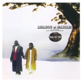 Amadou & Mariam - Combattants