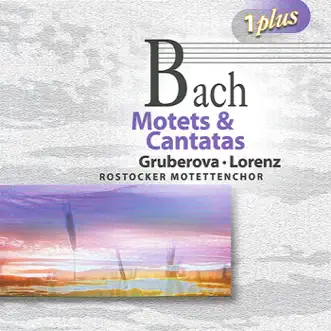 Bach: Motets & Cantatas by Rostocker Motet Choir, Leipzig Capella Fidicinia, Hartwig Eschenburg, Helmut Winschermann, Wolfgang Basch, Edita Gruberová, German Bach Soloists, Max Pommer, Siegfried Lorenz & New Bach Collegium Musicum Leipzig album reviews, ratings, credits