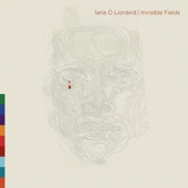 Invisible Fields artwork