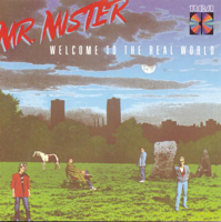 Mr. Mister - Welcome to the Real World artwork