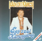 Karcsi Kadlott - Távollét