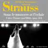 Stream & download Johann Strauss : Sous le tonnerre de l'éclair, Op. 324 (Unter Donner und Blitz - 100 classic masterpieces) - Single