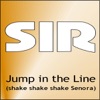 Jump In The Line (Shake Shake Shake Senora)