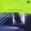 Bohdan Warchal, Slovak Chamber Orchestra & Guy Touvron - Brandenburg Concerto No. 3 in G major, BWV 1048: II. Allegro