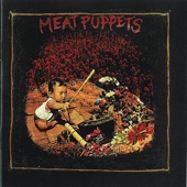 Meat Puppets - Playing Dead
