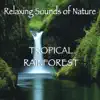 Relaxing Sounds of Nature - Tropical Rainforest album lyrics, reviews, download