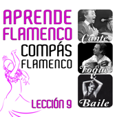 Aprende Flamenco. El Compás Flamenco. Lección 9 - Paquito González, Pedro Sierra, Fidel Cord & Naike