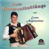 Flotte Harmonikaklänge