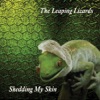 Shedding My Skin