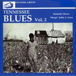 Tennessee Blues, Vol. 2 - Sleepy John Estes