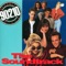 Theme from Beverly Hills, 90210 artwork