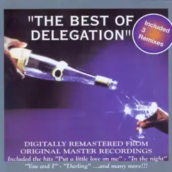 The Best of Delegation - Delegation