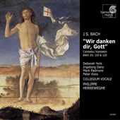 Bach: Cantatas BWV 29, 119 & 120 artwork