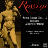 Sonata for Strings No. 2 in A major: I. Allegro artwork