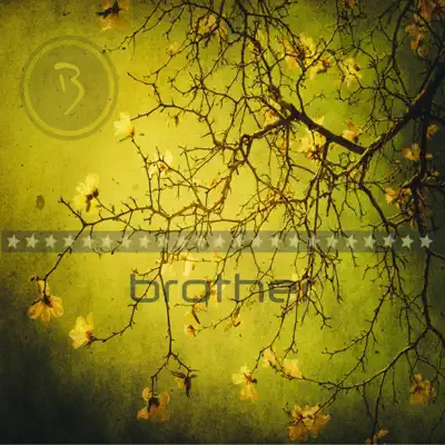Offering of Words - Brother