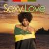 Sexy Love - R 'N' B Meets Reggae Lovers[Reggae Collection]