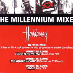 The Millennium Mixes - EP - Haddaway