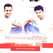 Neththara Project 4 artwork
