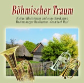 Böhmischer Traum, 2010