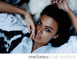 Amel Larrieux - Try Your Wings