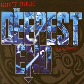 Gov't Mule - Banks Of The Deep End