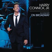 Harry Connick Jr. - The Way You Look Tonight