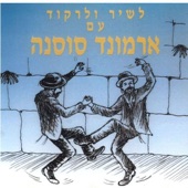 ויזמרון לך Vizamrun Lecha artwork