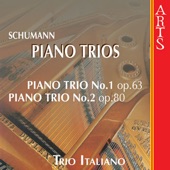 Piano Trio No.1 In D Minor Op.63 (1847): II. Lebhaft, Doch Nicht Zu Rasch (Schumann) artwork