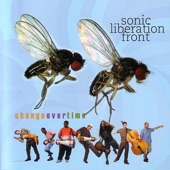Sonic Liberation Front - First Rain