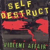 Self Destruct artwork