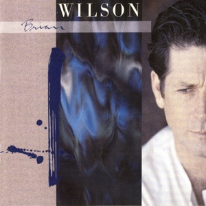 Brian Wilson - Brian Wilson Reimagines Gershw - Zortam Music