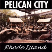 Pelican City - Chestnut Park