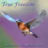True Freedom - Guided Meditations for Relaxation and Stress Relief With Christine Wushke album lyrics, reviews, download