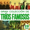 Gran Colección de Trios Famosos 20 Boleros Famosos. Vol.2, 2011