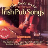 The Best Ever Collection Of Irish Pub Songs - Volume 2 artwork