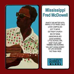 The Train I Ride - Mississippi Fred McDowell