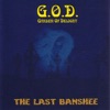 The Last Banshee