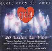 Guardianes del Amor: 20 Exitos en Vivo artwork