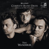 Brahms: Intégrale des Trios avec Piano (Complete Piano Trios) artwork
