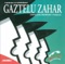 Bandura - Gaztelu Zahar lyrics