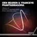 Phantasmagoria (Mysterious Movement Remix) song reviews