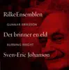Det Brinner En Eld album lyrics, reviews, download